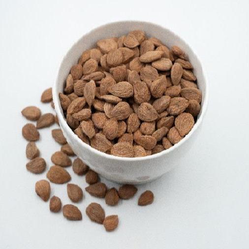 Apricot kernel seed